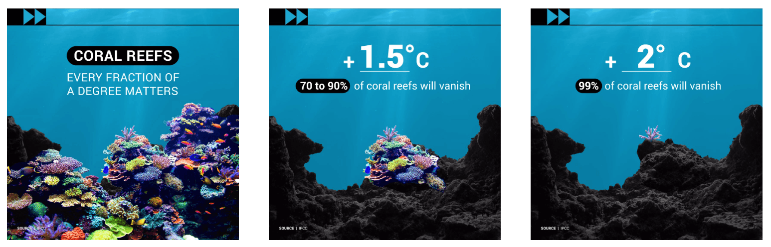 PIC_04_655adee4f0.png