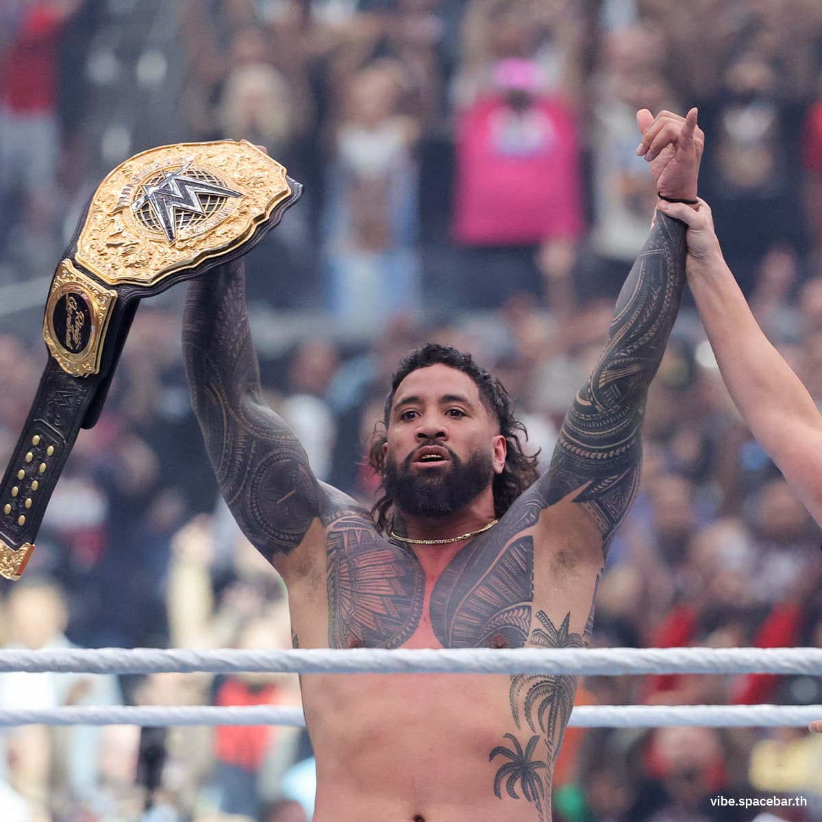 Photo_story_and_review_Wrestle_Mania_41_Night_1_SPACEBAR_Photo04_919268bf7d.jpg