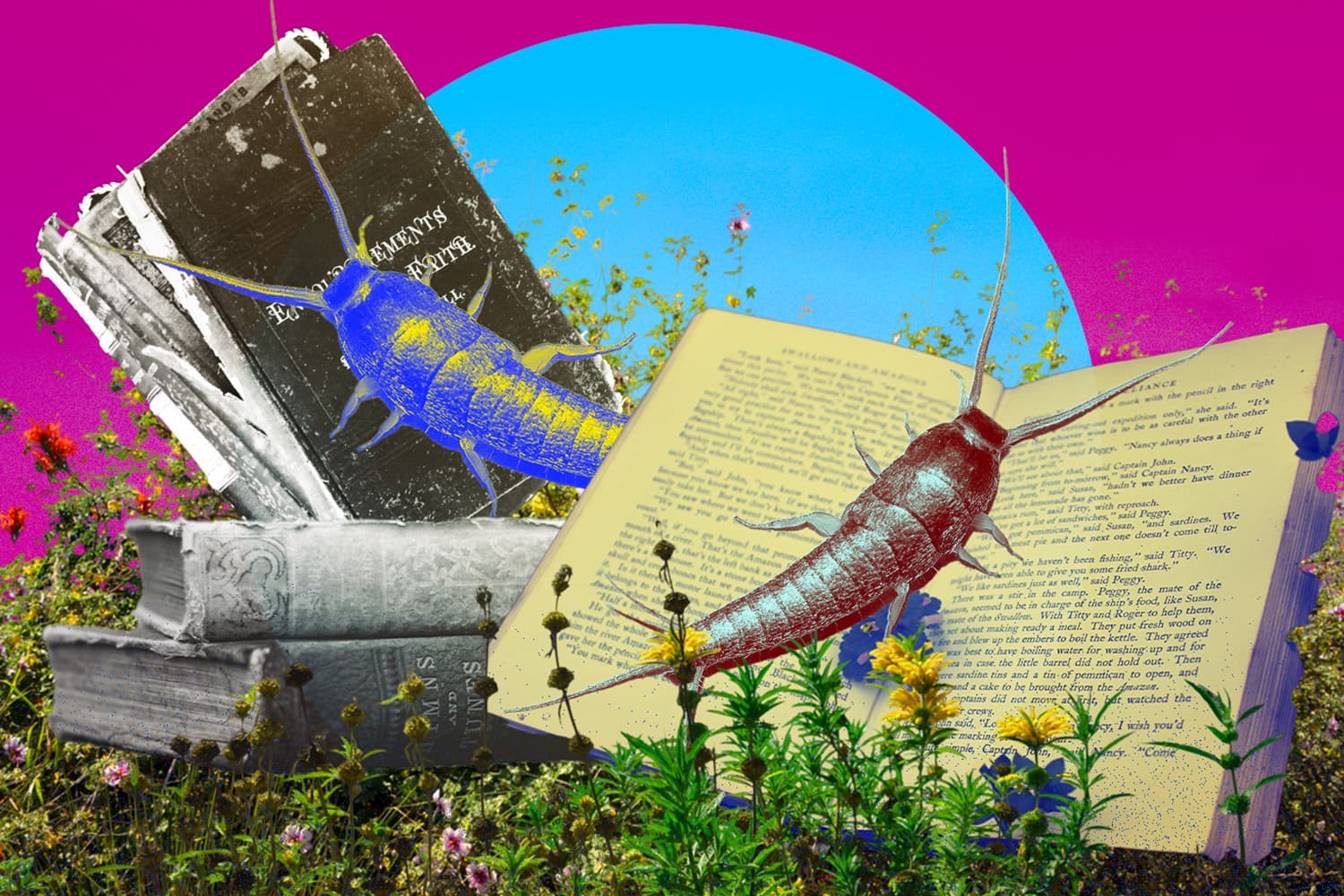Real_Book_Worm_SPACEBAR_Hero_2f4d9046b8.jpg