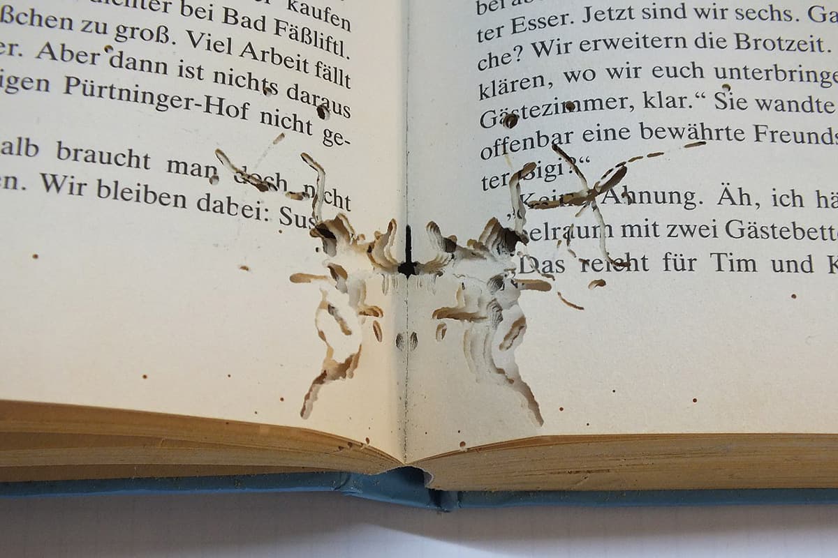 Real_Book_Worm_SPACEBAR_Photo03_c05072b3b7.jpg
