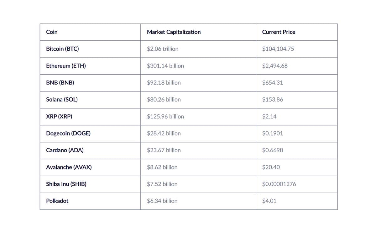 Top 10 digital assets in 2025