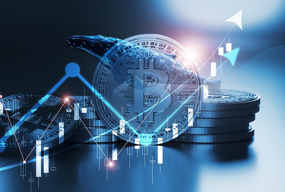 Bitget เผยนักลงทุนวาฬสะสม Bitcoin เพิ่ม มีลุ้นแตะ $120,000