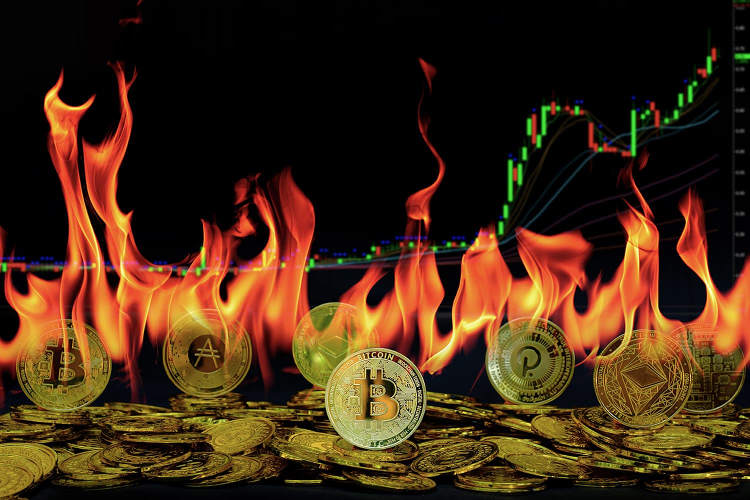 Bitget ตั้งเป้าบิตคอยน์ 150,000 ดอลลาร์ ไตรมาส 3/68 รับปัจจัยบวกเฟด ลดดอกเบี้ย-สถาบันเข้าซื้อ