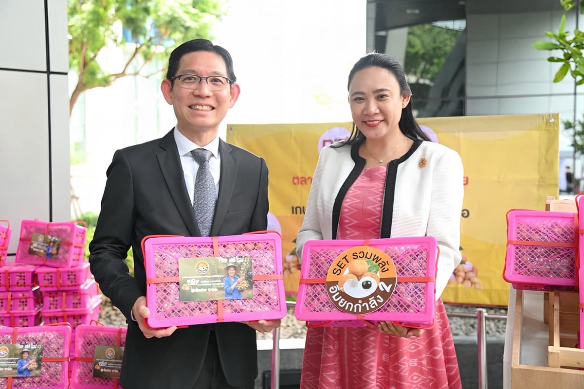 dit-longan-farmers-lamphun-chiang-rai-direct-sellers-10000-kg-SPACEBAR-Photo01.jpg