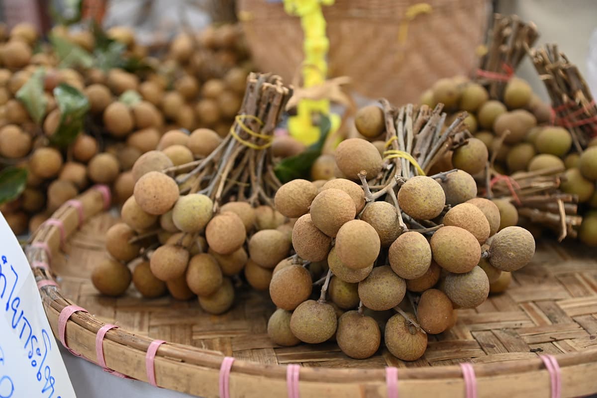 dit-longan-farmers-lamphun-chiang-rai-direct-sellers-10000-kg-SPACEBAR-Photo02.jpg