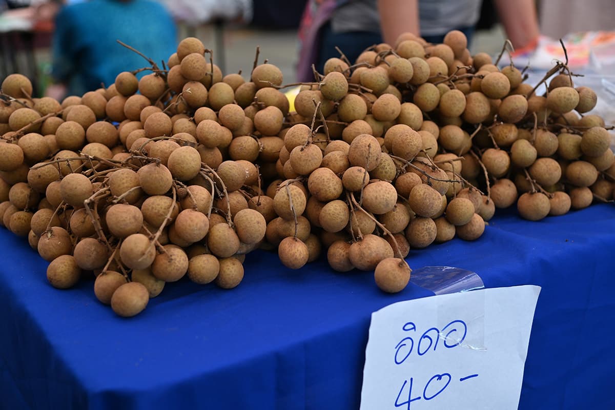 dit-longan-farmers-lamphun-chiang-rai-direct-sellers-10000-kg-SPACEBAR-Photo03.jpg