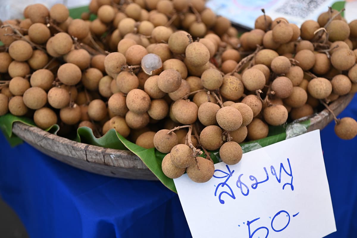 dit-longan-farmers-lamphun-chiang-rai-direct-sellers-10000-kg-SPACEBAR-Photo04.jpg
