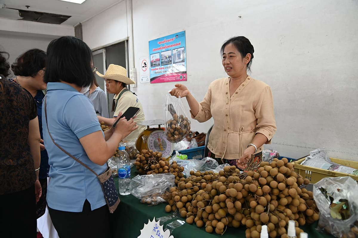 dit-longan-farmers-lamphun-chiang-rai-direct-sellers-10000-kg-SPACEBAR-Photo06.jpg
