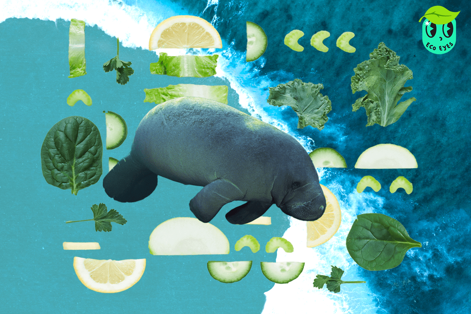 dugong_is_malnourished_seagrass_crisis_SPACEBAR_Hero_9adfe5b0fe.png