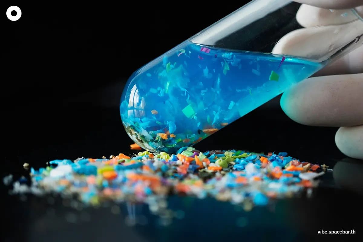 ecoeyes_how_to_heal_the_planet_7re_reduces_microplastics_e6b1061362.jpg