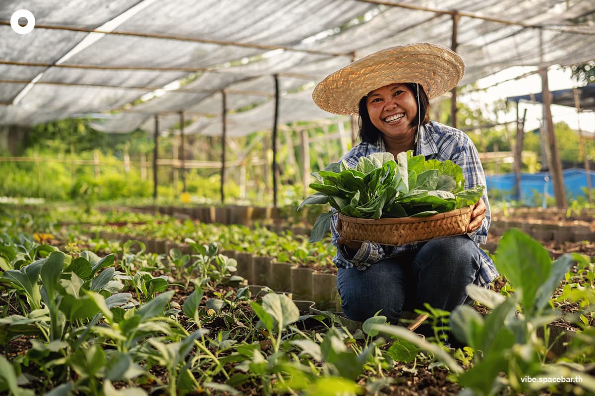 ecoeyes_how_to_heal_the_planet_sustainable_food_1_SPACEBAR_Photo04_b80e92b0e0.jpg