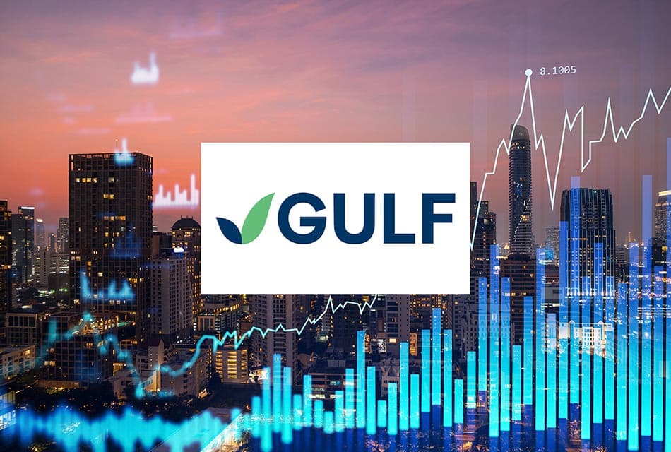 GULF ได้รับอนุมัติ ‘กรอบวงเงิน’ หุ้นกู้ไม่เกิน 3 แสนล้านบาท