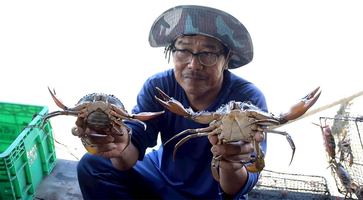 economic-business-thai-raising-sea-crabs-shrimp-SPACEBAR-Photo02.jpg
