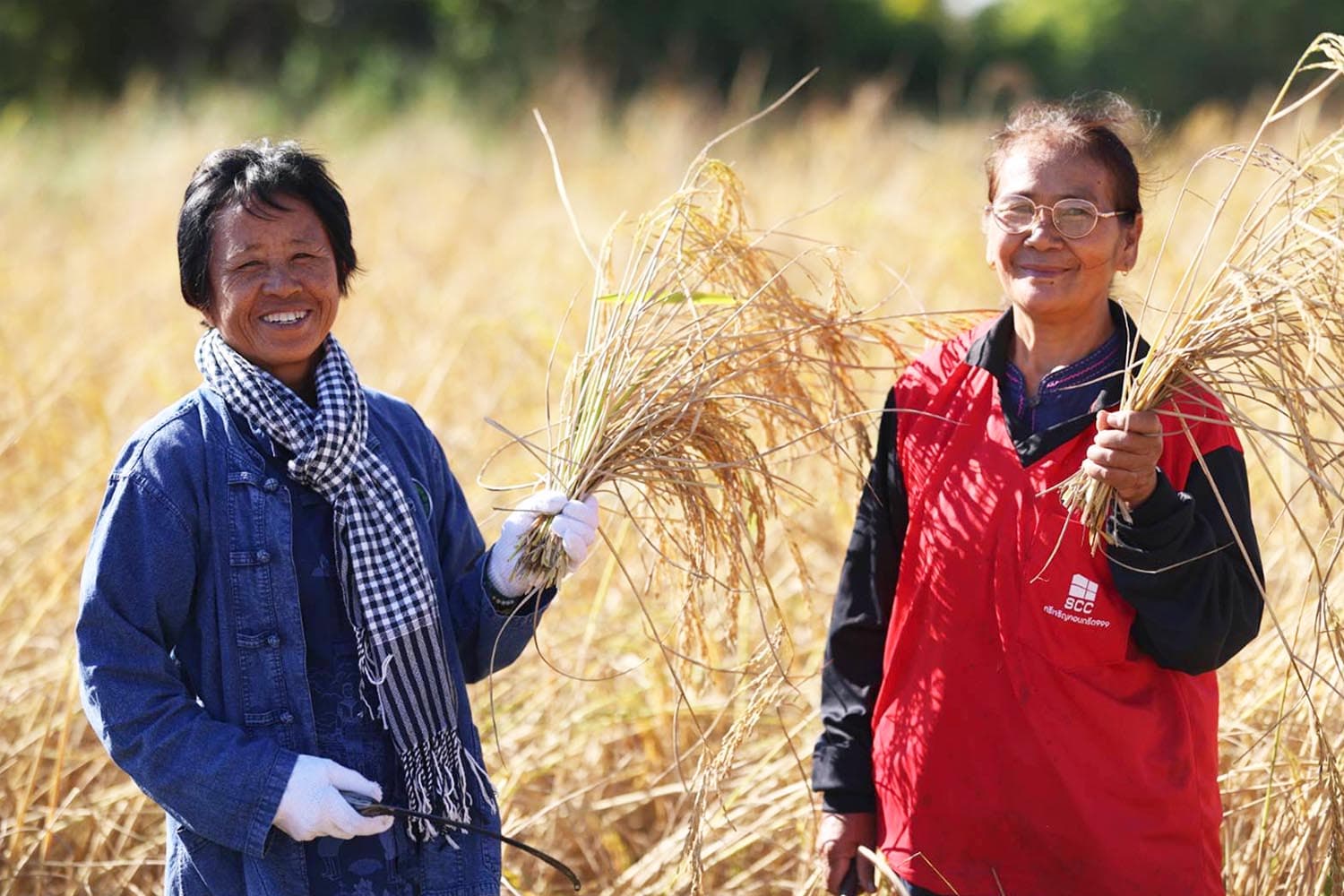 ธ.ก.ส. เปิดตัวโครงการข้าวลดโลกร้อน ลดการปล่อยก๊าซมีเทนในนาข้าว เดินหน้าสู่เป้าหมาย Carbon neutrality