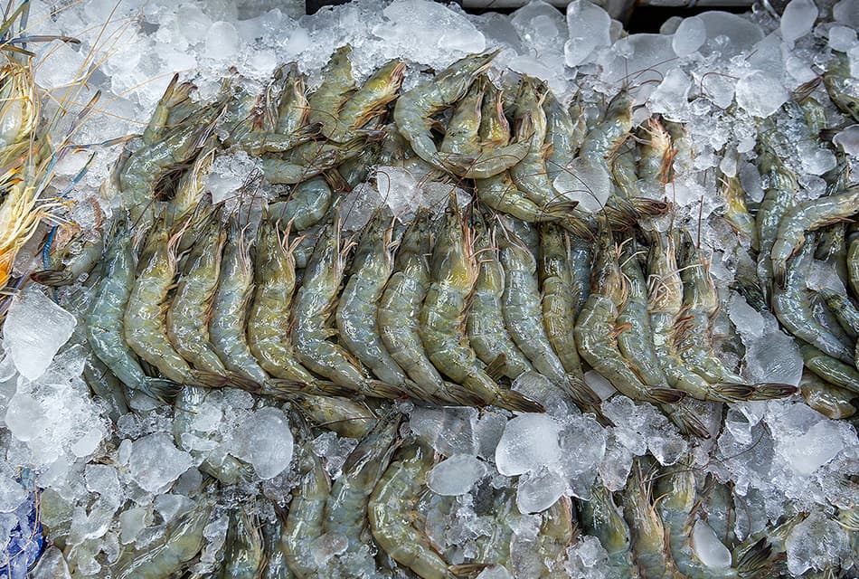 ดันอุตฯ แปรรูปกุ้งไทย เป็นวาระแห่งชาติ หวังผลิกฟื้นเป็นเสาหลักของศก.