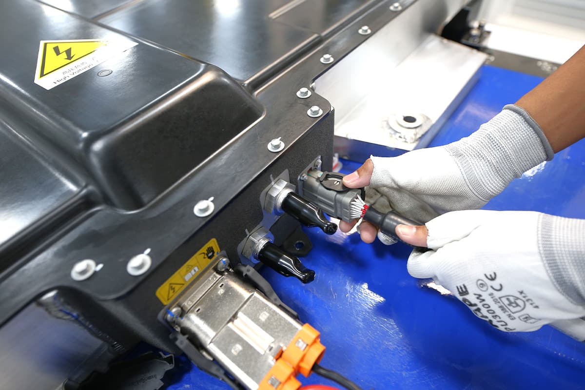 economic_business_thai_car_ev_ora_good_cat_SPACEBAR_Photo03_d7eab71cc7.jpg
