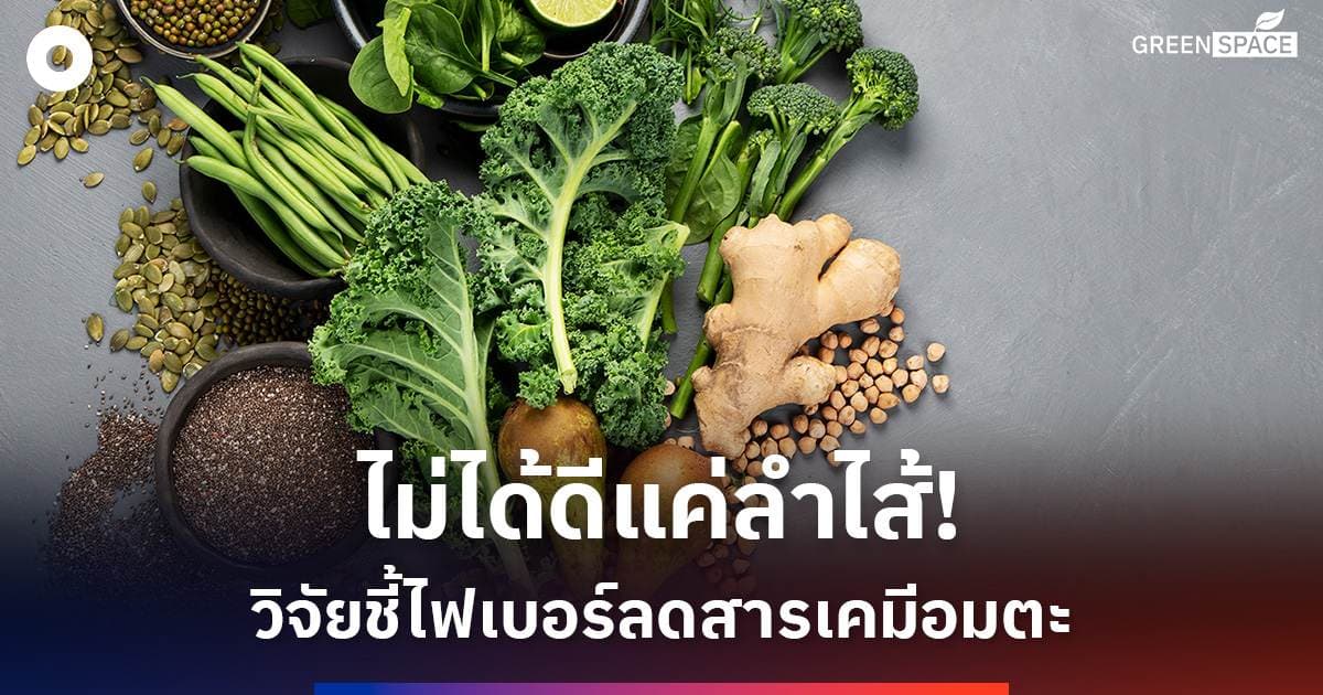 รายการสำหรับทดสอบ ss