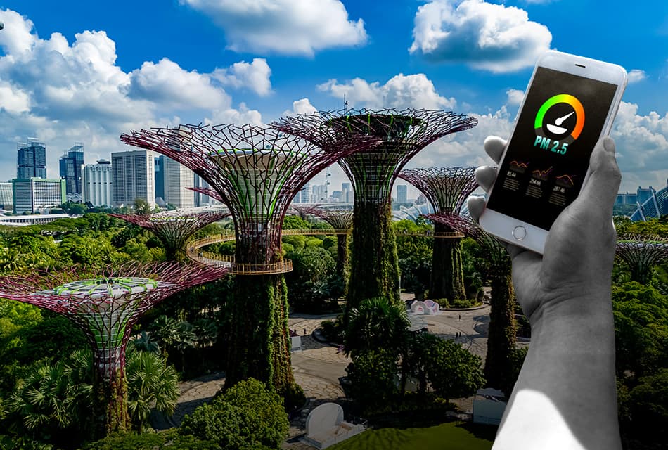 ส่องโมเดล ‘เปลี่ยนฟ้าหลัวให้กลับมาใส’ สิงคโปร์รับมือกับปัญหาฝุ่นพิษอย่างไร...?
