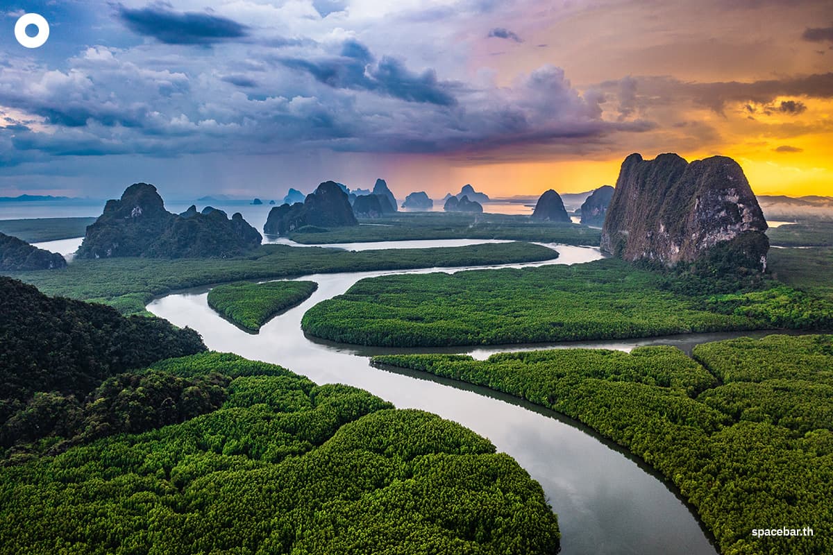 mangroves-blue-carbon-for-net-zero-future-SPACEBAR-Photo03.jpg