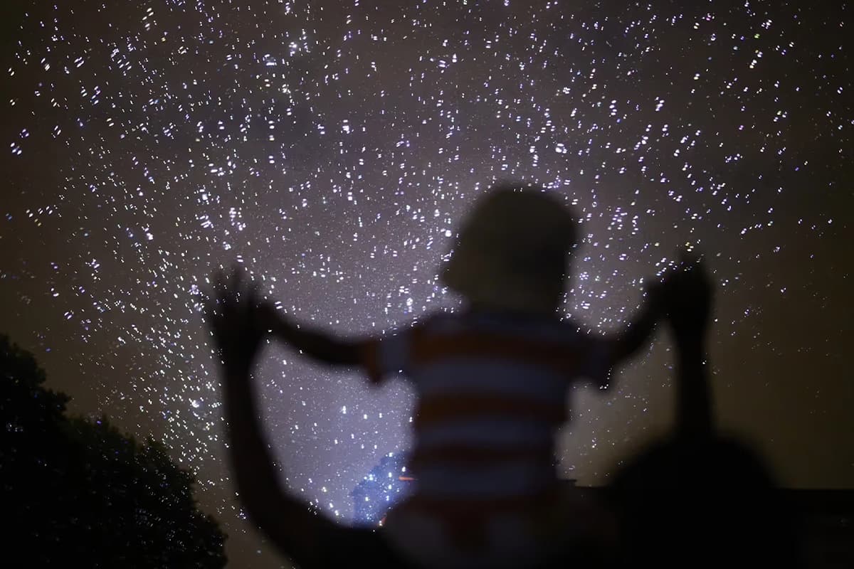 organic_firework_SPACEBAR_Photo01_5c635cb2bf.jpg