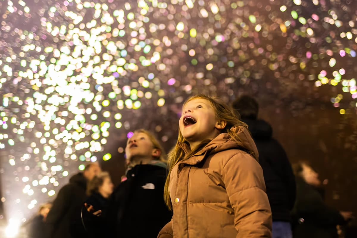organic_firework_SPACEBAR_Photo02_2b350d1084.jpg