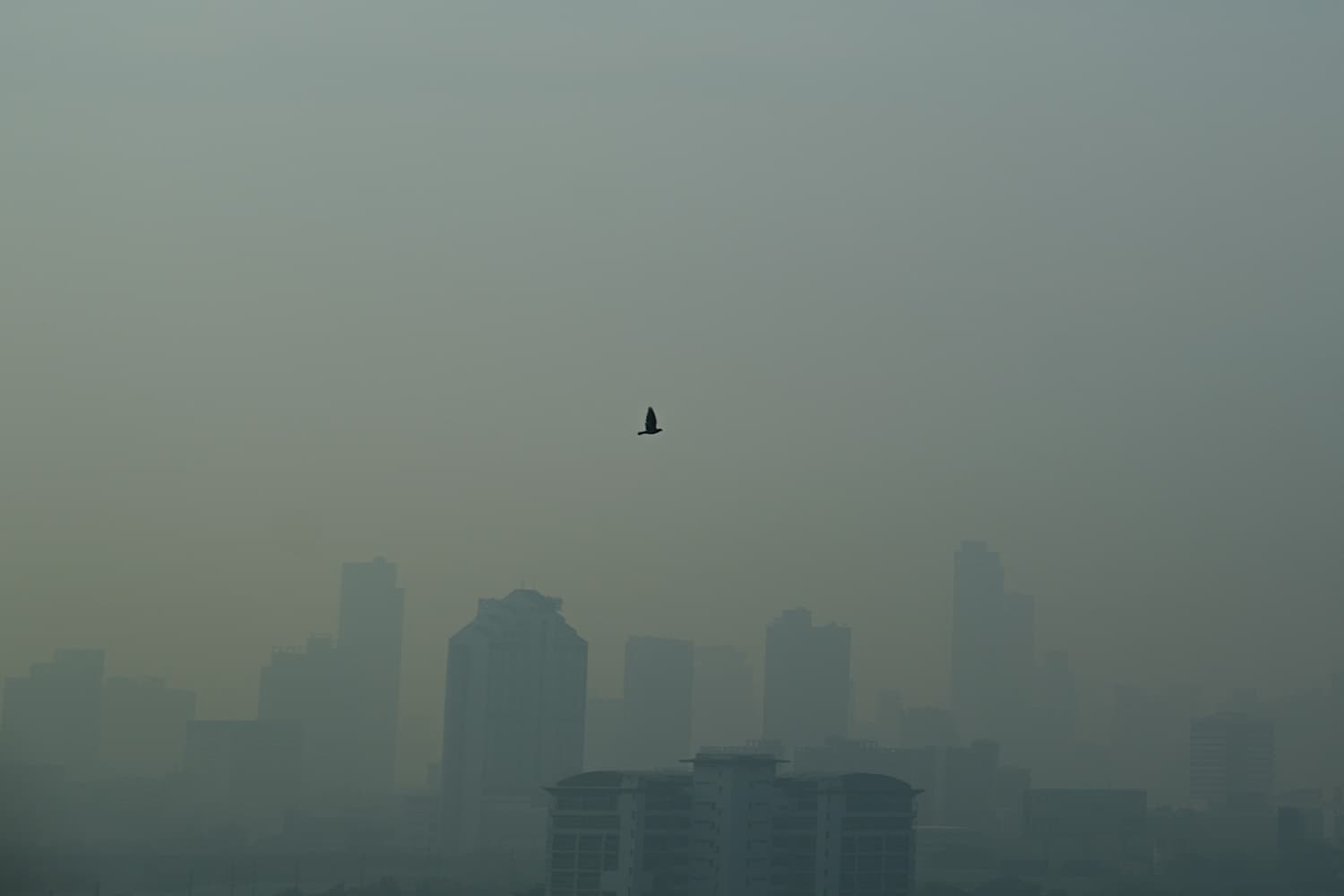 pm2_5_pollution_situation_in_bangkok_24_jan_2025_SPACEBAR_Hero_a1565e5897.jpg