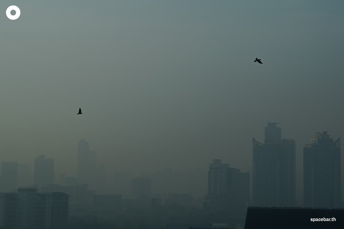 pm2_5_pollution_situation_in_bangkok_24_jan_2025_SPACEBAR_Photo08_b97236107c.jpg