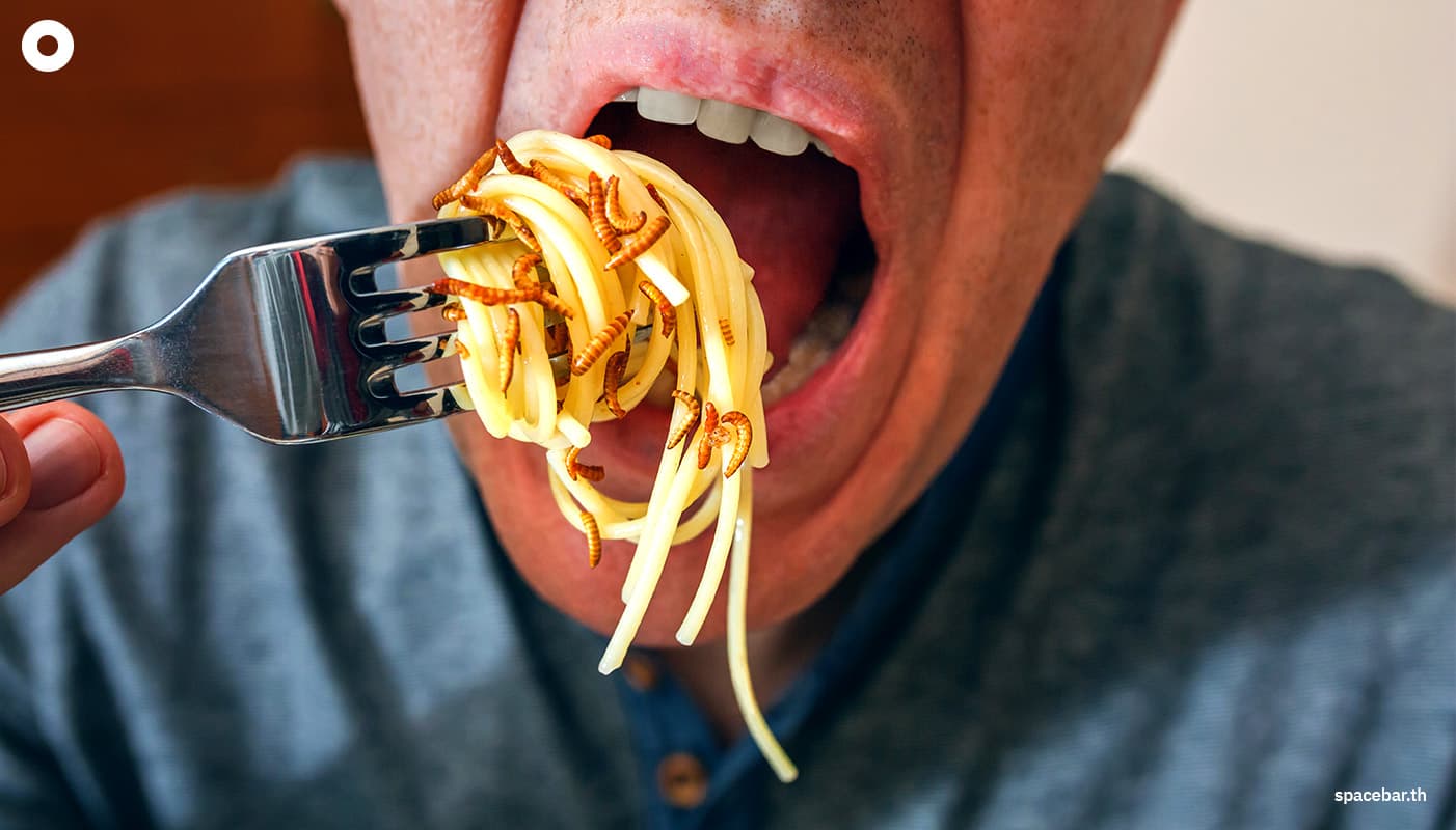 sustainability-low-carbon-alternative-protein-insects-SPACEBAR-Photo01.jpg