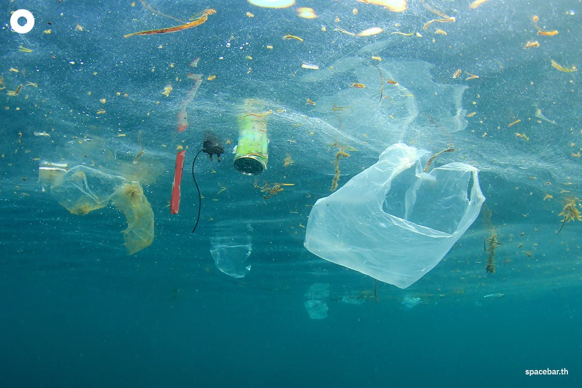 sustainability-plastic-bag-ban-reduces-usa-coastal-litter-SPACEBAR-Photo01.jpg