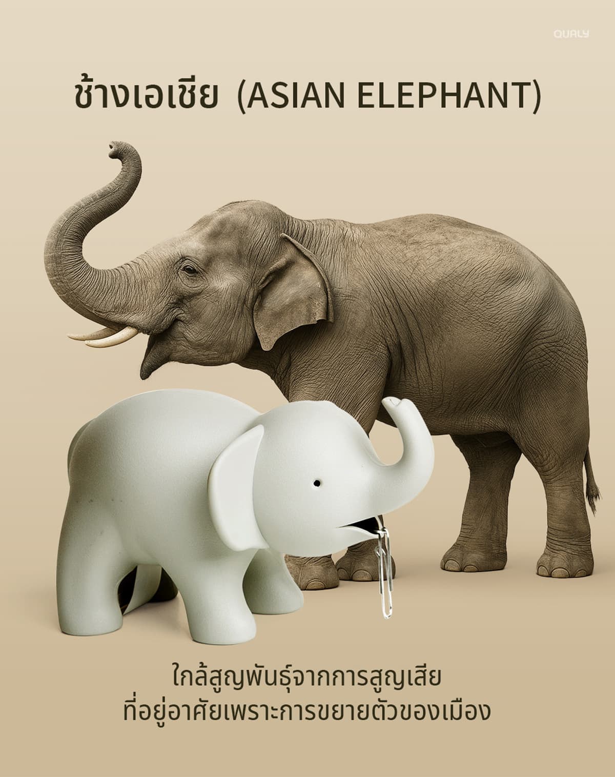 sustainability-qualy-designs-8-endangered-animals-SPACEBAR-Photo02.jpg