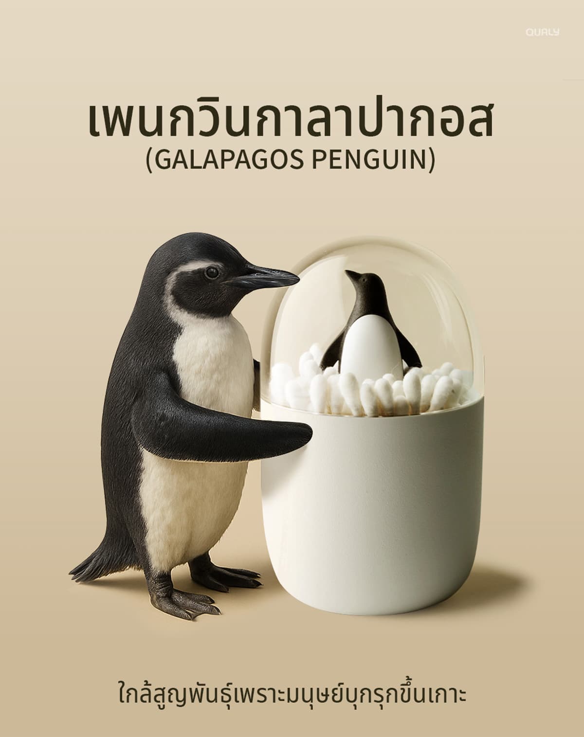 sustainability-qualy-designs-8-endangered-animals-SPACEBAR-Photo03.jpg