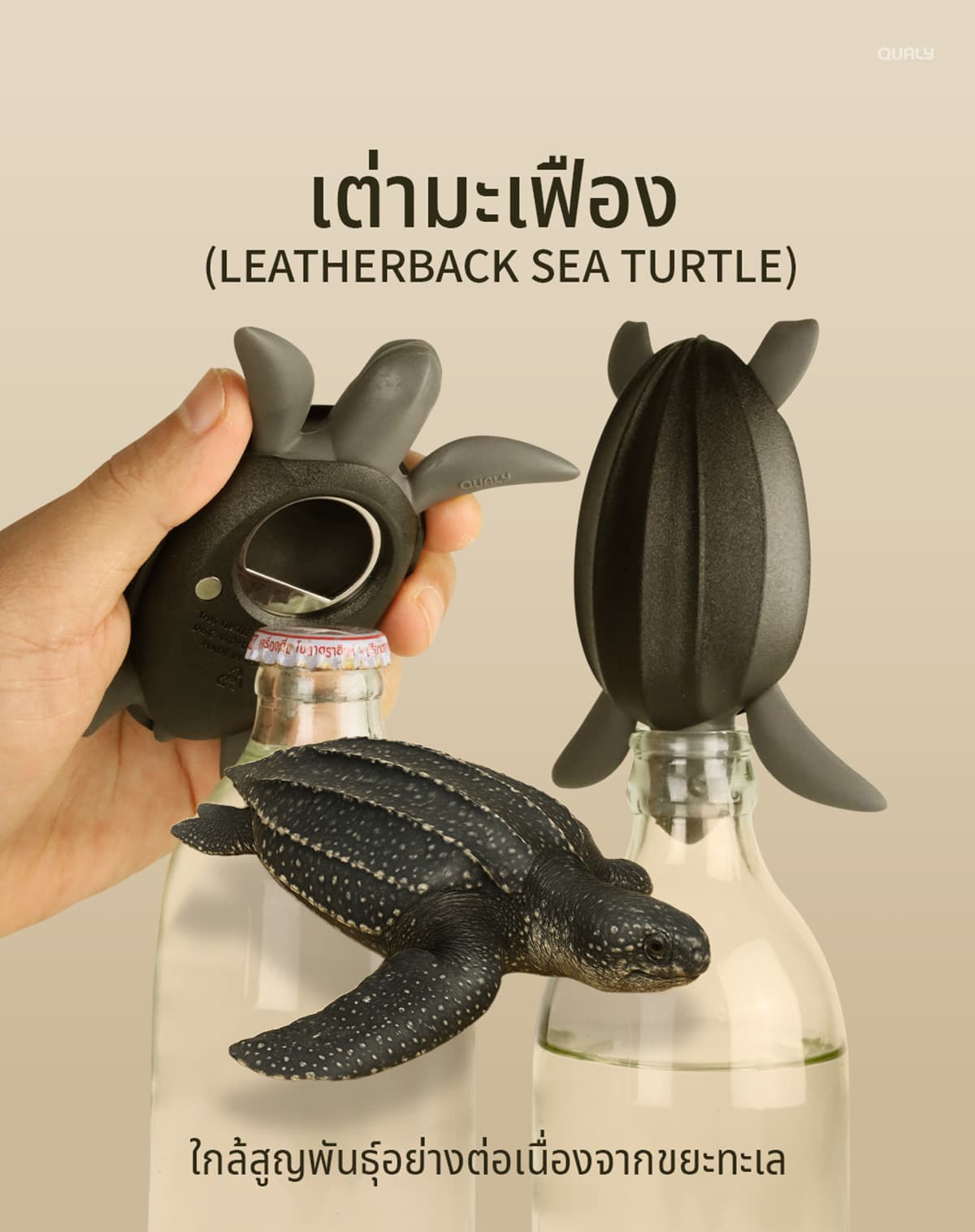 sustainability-qualy-designs-8-endangered-animals-SPACEBAR-Photo05.jpg