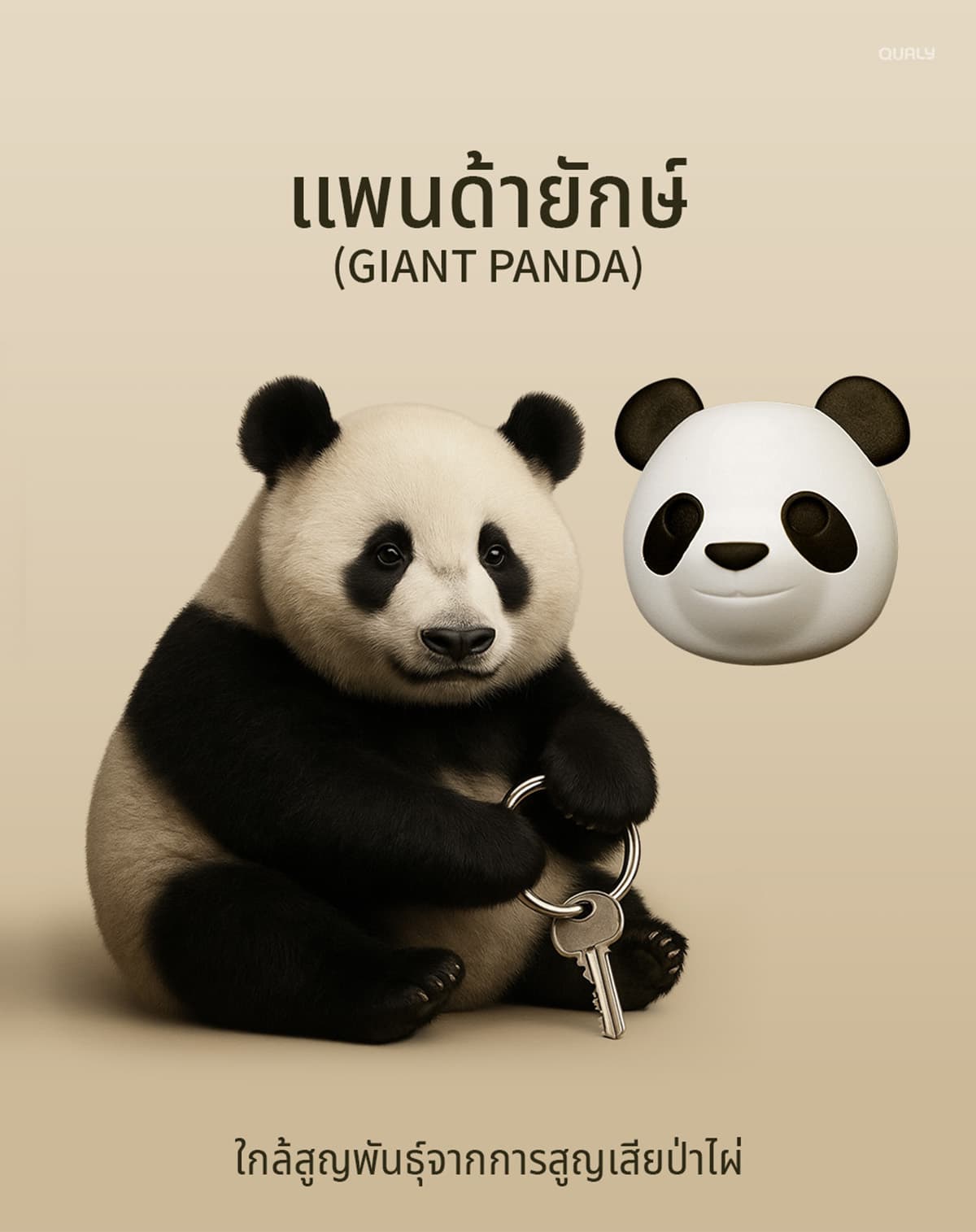 sustainability-qualy-designs-8-endangered-animals-SPACEBAR-Photo06.jpg