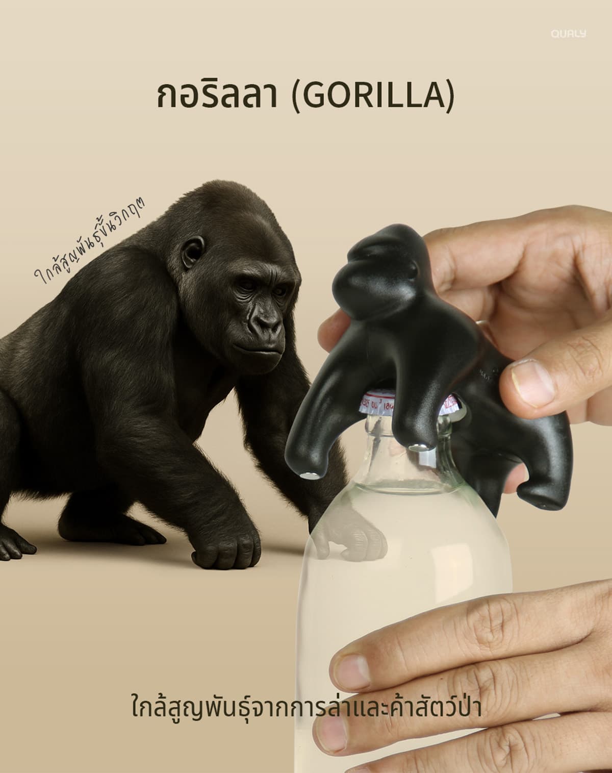 sustainability-qualy-designs-8-endangered-animals-SPACEBAR-Photo07.jpg