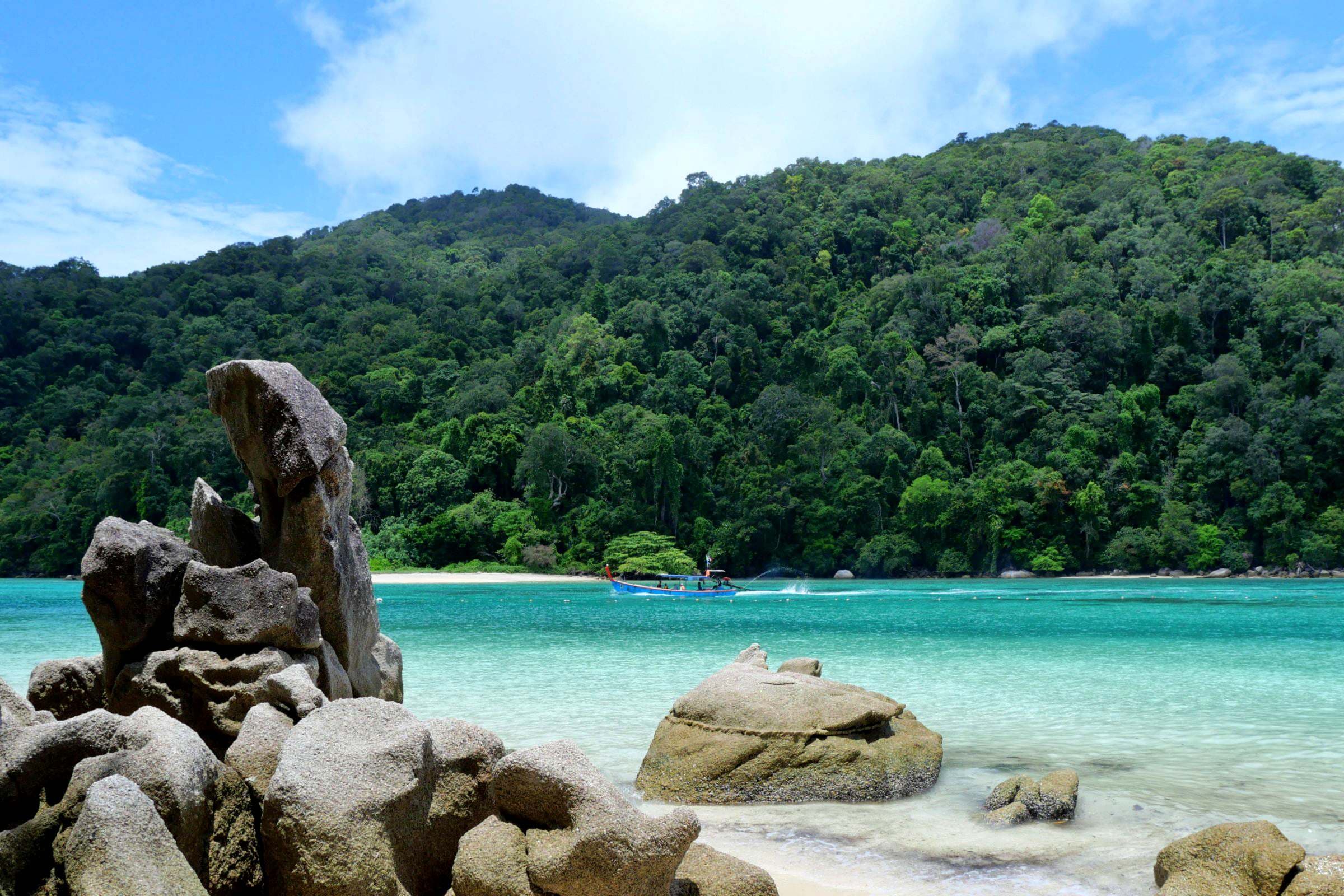 sustainability_summary_of_new_laws_for_coral_conservation_SPACEBAR_1_7619d4c46f.JPG