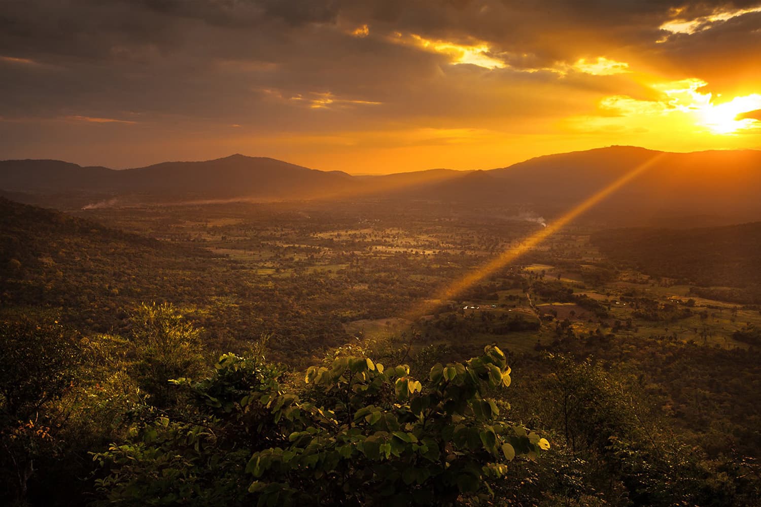 thap_lan_national_park_land_dispute_SPACEBAR_Hero_cc6b9c6ef9.jpg