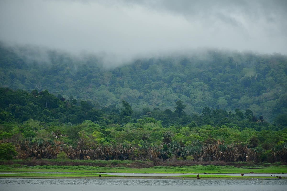 thap_lan_national_park_land_dispute_SPACEBAR_Photo04_9444587379.jpg