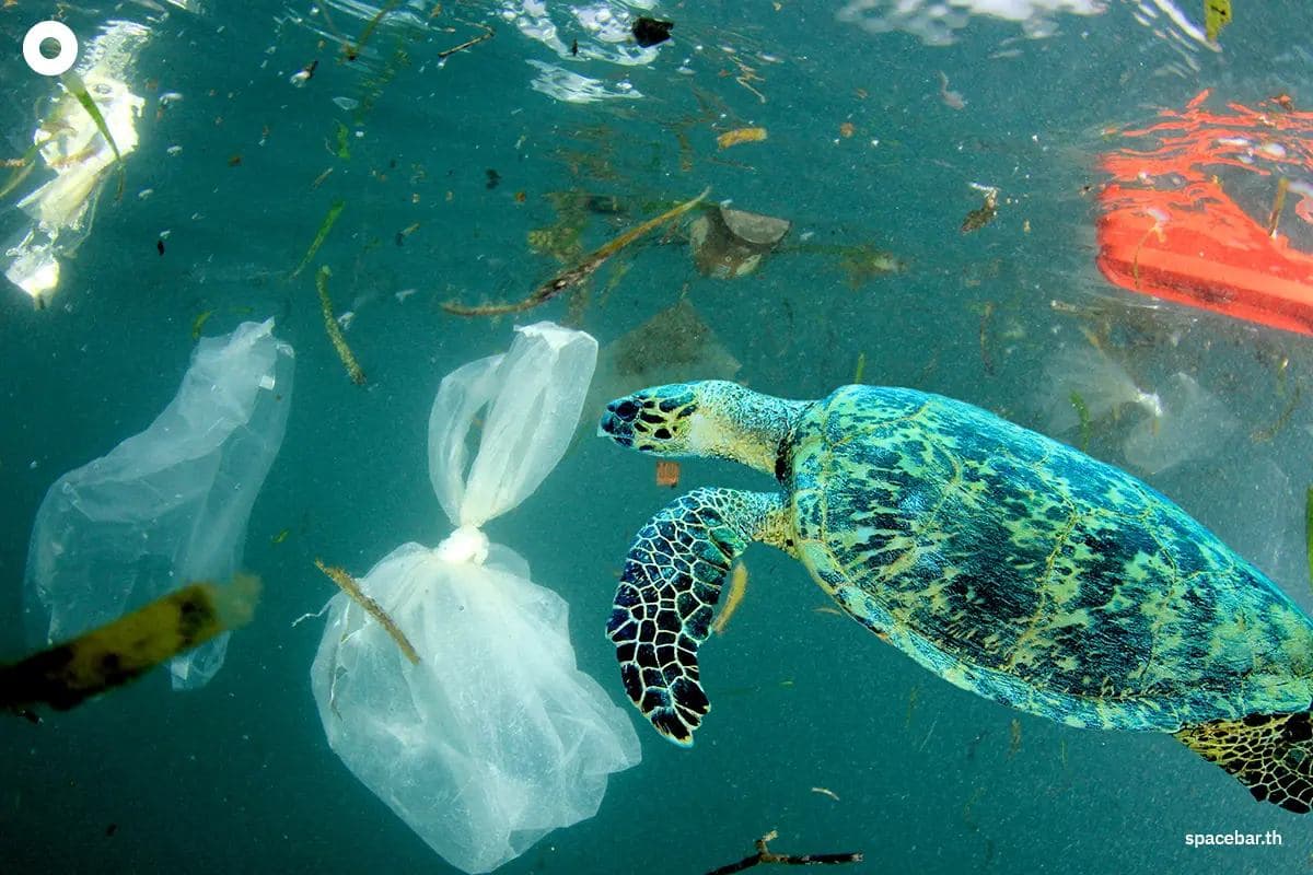 world-environment-day-10-questions-about-plastic-SPACEBAR-Photo02-1.jpg