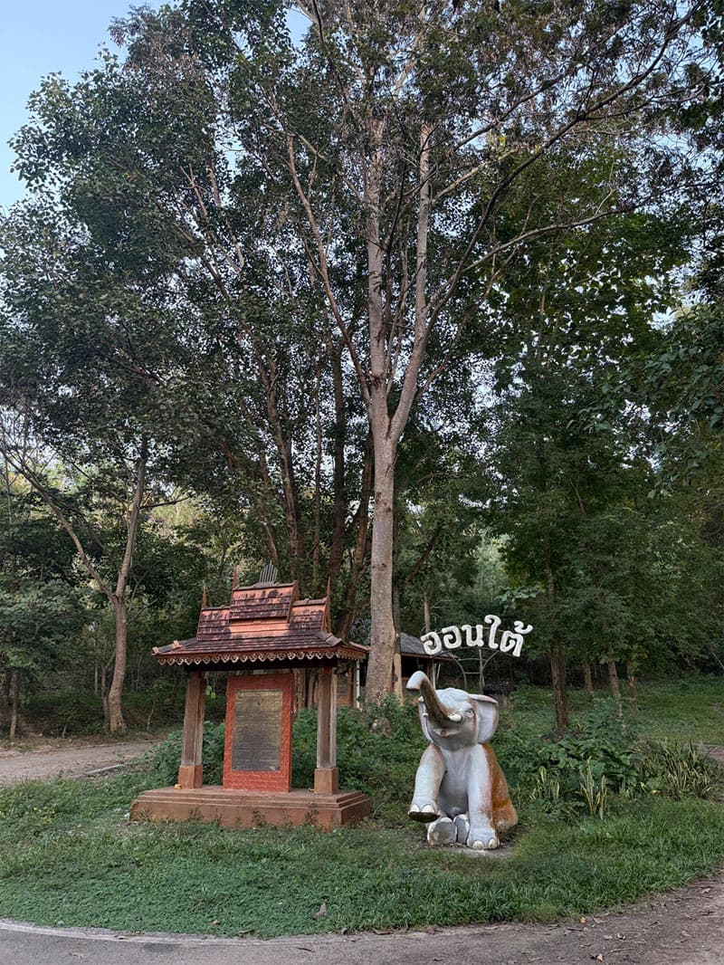 Chiang Mai-Dark-Sky-Sanctuary-helps-distribute-income-to-the-community-SPACEBAR-Photo V03-1.jpg