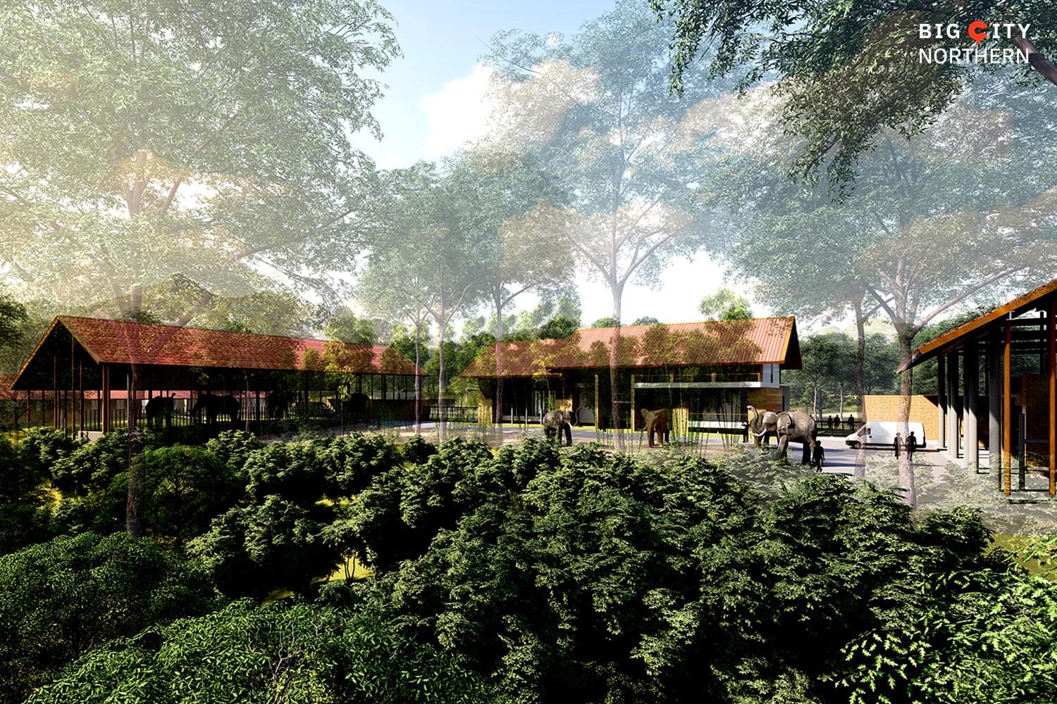 Chiang_Mai_prepares_to_build_an_elephant_hospital_to_care_for_sick_elephants_SPACEBAR_Hero_a7f0b68048.jpg
