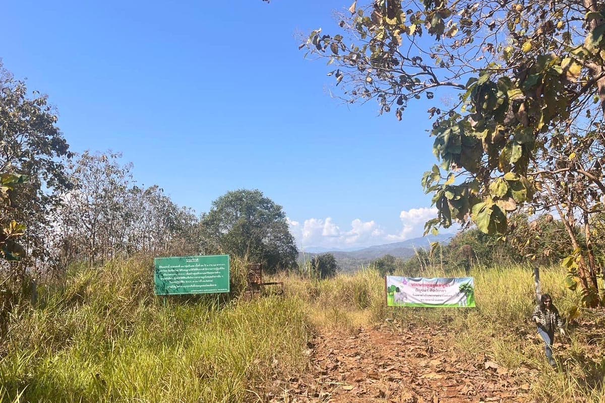 Chiang_Mai_prepares_to_build_an_elephant_hospital_to_care_for_sick_elephants_SPACEBAR_Photo03_e305e23fd0.jpg