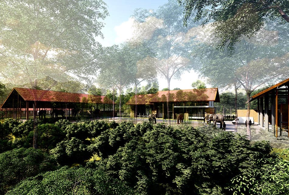 Chiang_Mai_prepares_to_build_an_elephant_hospital_to_care_for_sick_elephants_SPACEBAR_Thumbnail_861b8a4316.jpg
