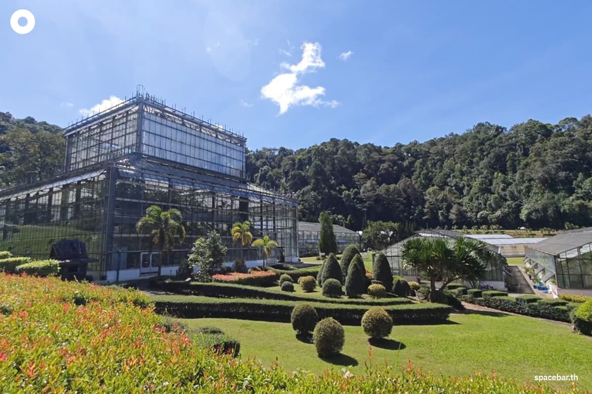 Queen-Sirikit-Botanical-Garden-pays-homage-to-the-grace-of-Her-Majesty-the-Queen Mother-SPACEBAR-Photo04.jpg