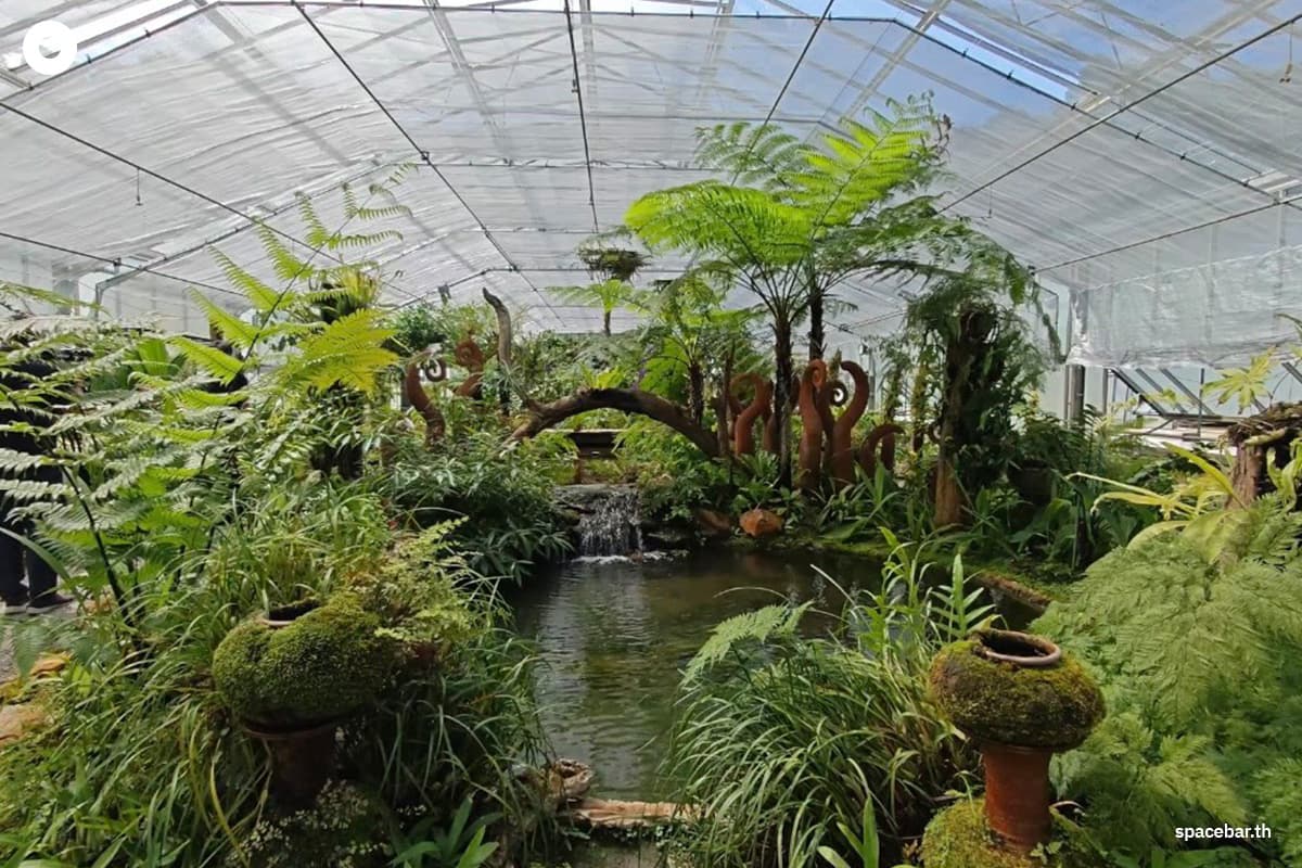 Queen-Sirikit-Botanical-Garden-pays-homage-to-the-grace-of-Her-Majesty-the-Queen Mother-SPACEBAR-Photo05.jpg