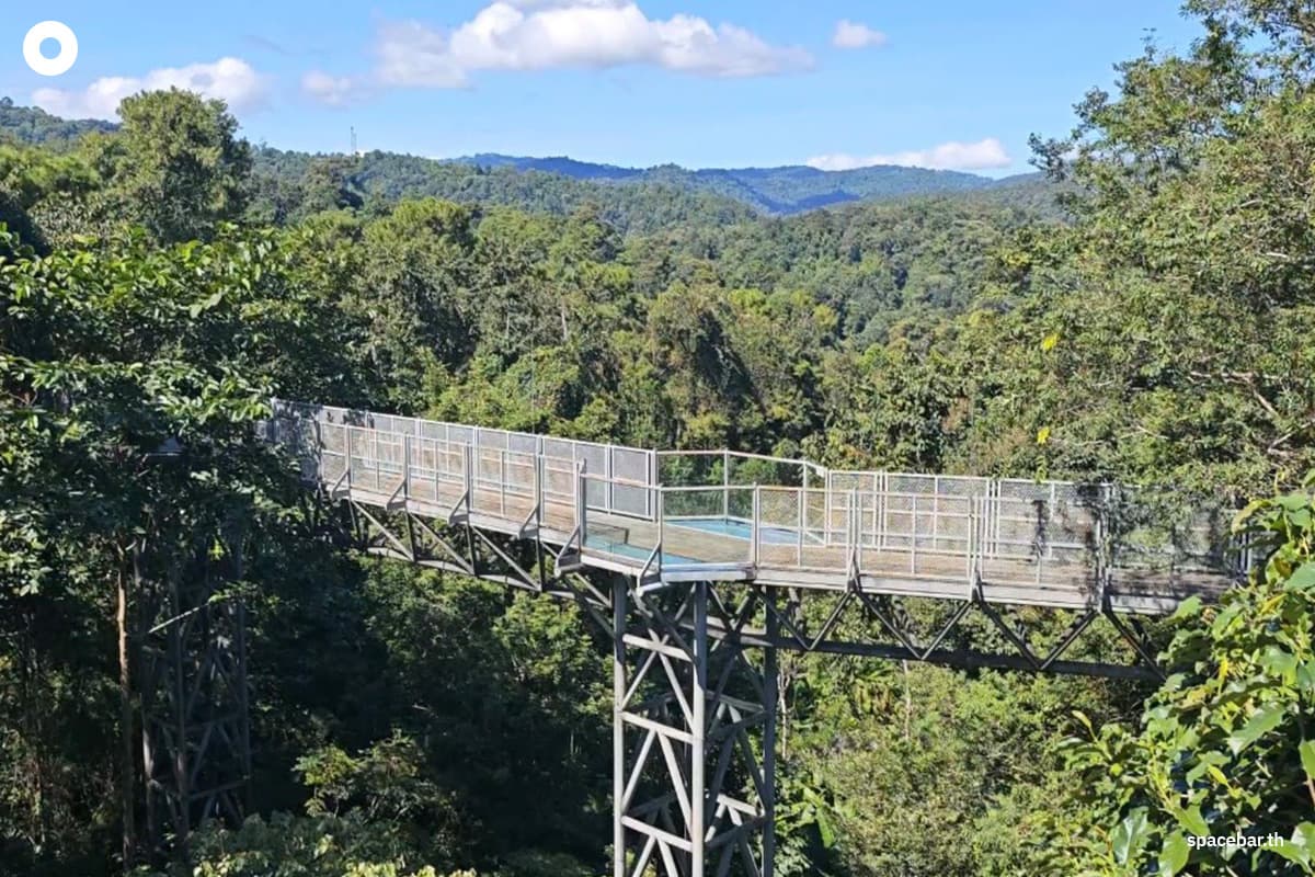 Queen-Sirikit-Botanical-Garden-pays-homage-to-the-grace-of-Her-Majesty-the-Queen Mother-SPACEBAR-Photo08.jpg