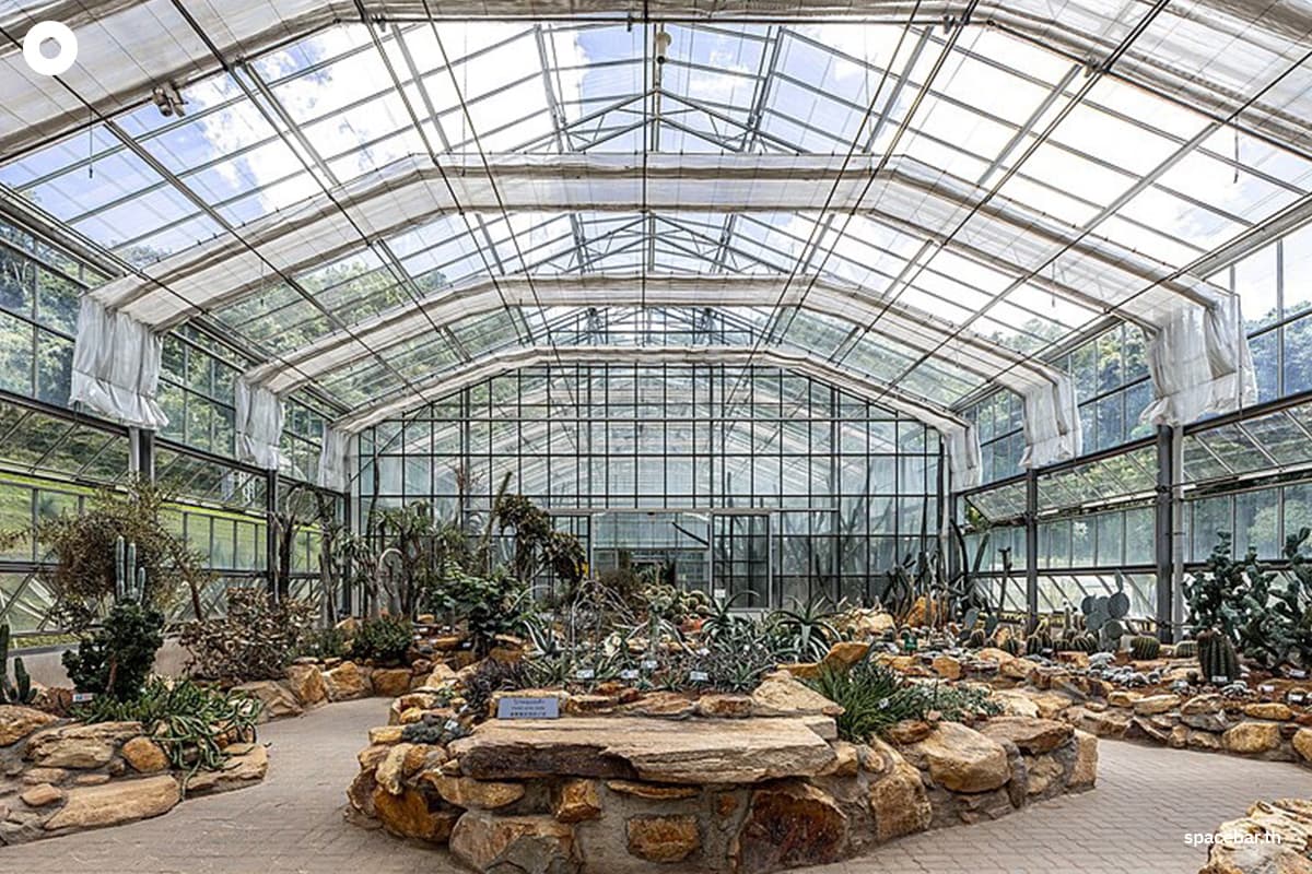 Queen-Sirikit-Botanical-Garden-pays-homage-to-the-grace-of-Her-Majesty-the-Queen Mother-SPACEBAR-Photo11.jpg