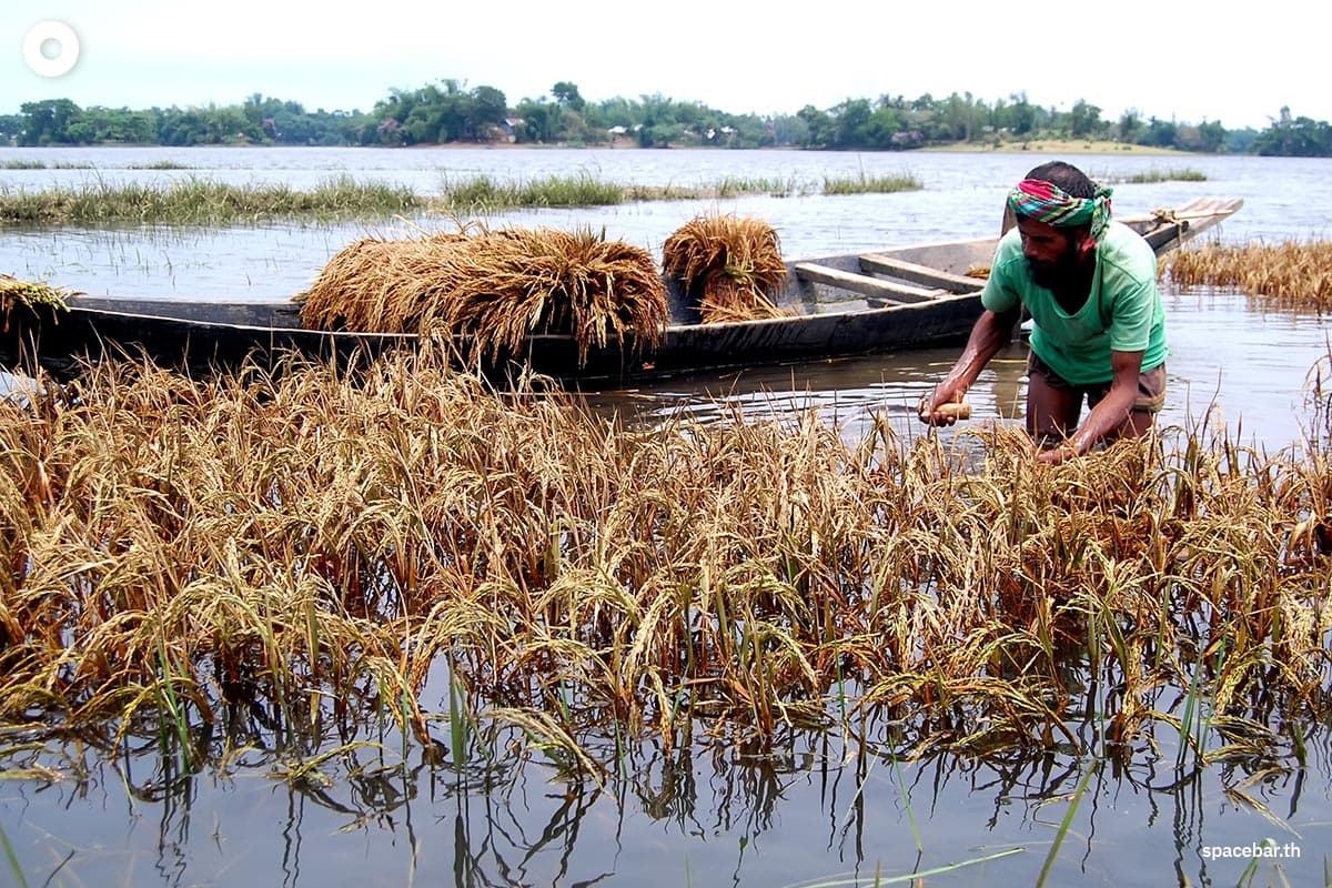 Report_estimates_macroeconomic_damages_from_climate_change_are_six_times_larger_than_thought_SPACEBAR_Photo01_d3c6cd5153.jpg