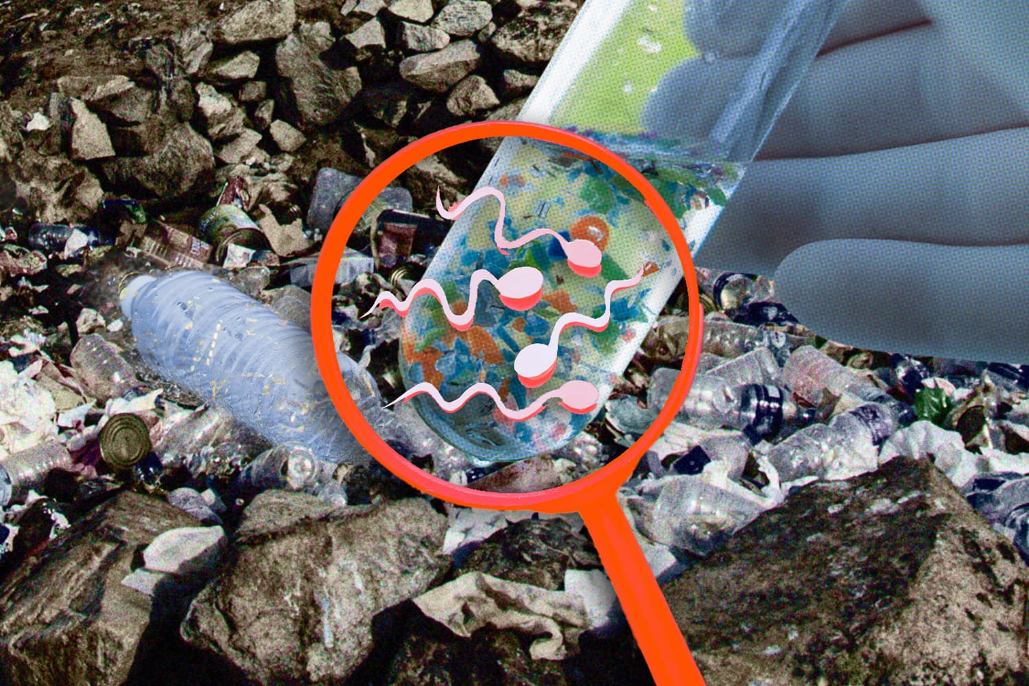 Study_found_microplastics_in_dog_and_human_testicles_may_affect_male_infertility_SPACEBAR_Hero_62cfe71971.jpg