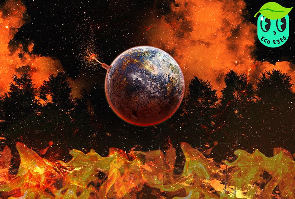 ecoeyes_lanina_2025_global_holidays_are_over_what_next_step_SPACEBAR_Thumbnail_a5957f47d5.jpg