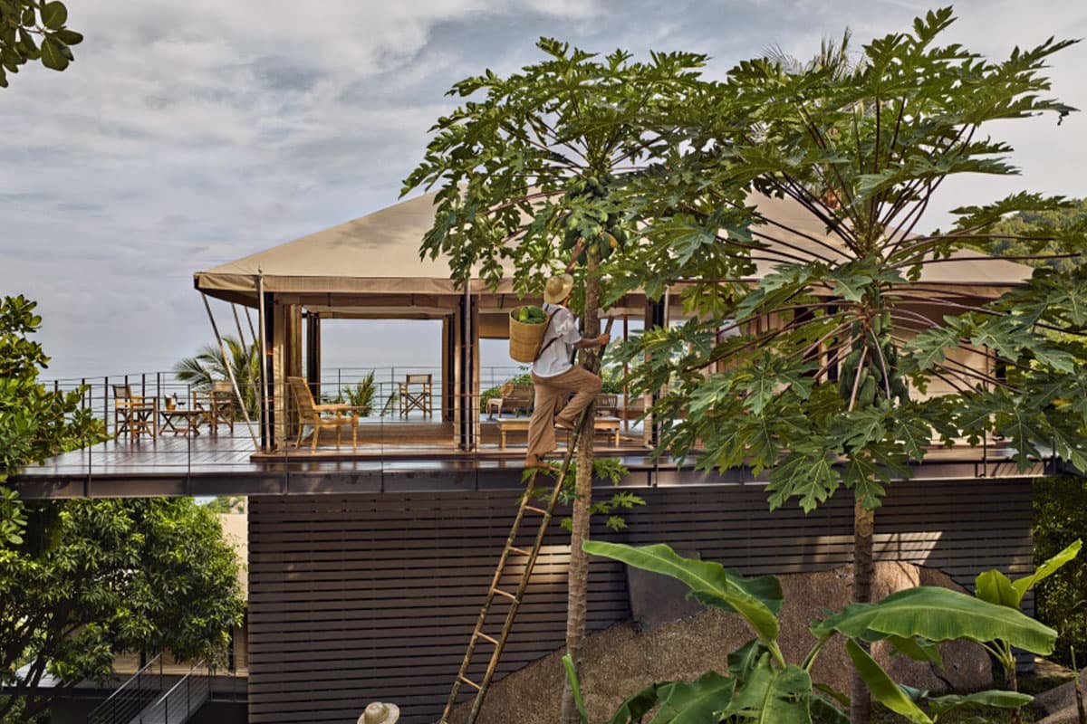 ecoeyes_new_travel_trends_conscious_travel_and_help_the_planet_SPACEBAR_Photo01_190dd4a3b7.jpg